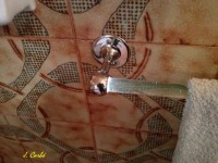 /album/vintage/toballoler-2-jpg/